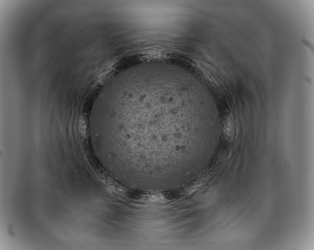 X0000096640715200802191219