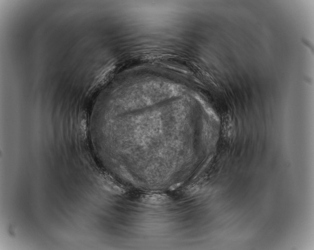 X0000096640716200802191219