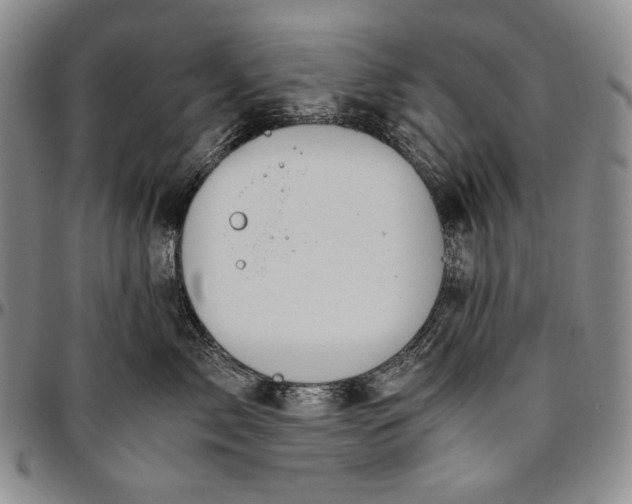 X0000096640717200802191219