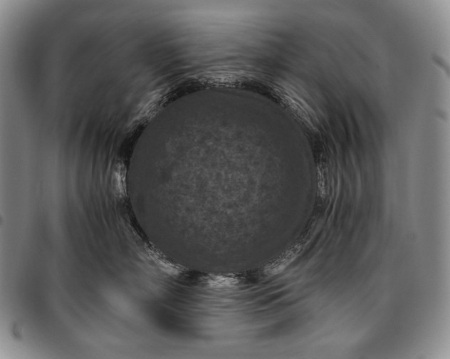 X0000096640718200802191219