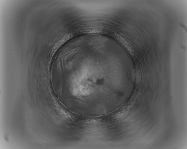 X0000096640721200802191219