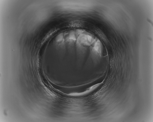 X0000096640722200802191219