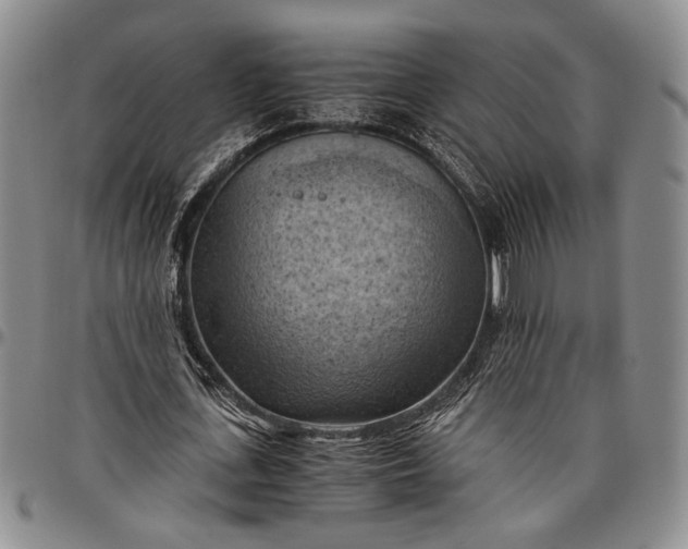 X0000096640723200802191219