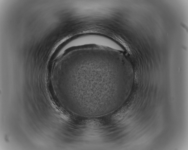 X0000096640724200802191219