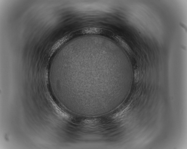 X0000096640725200802191219