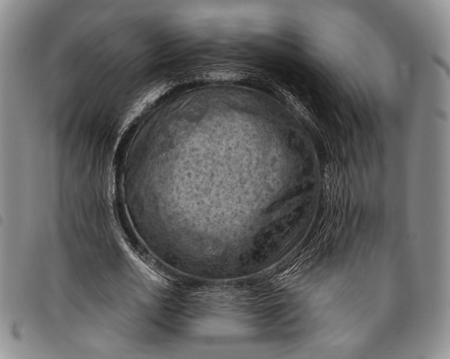 X0000096640726200802191219