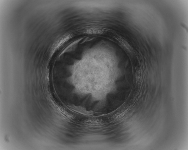 X0000096640727200802191219