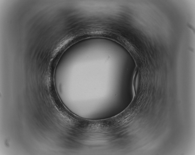 X0000096640728200802191219