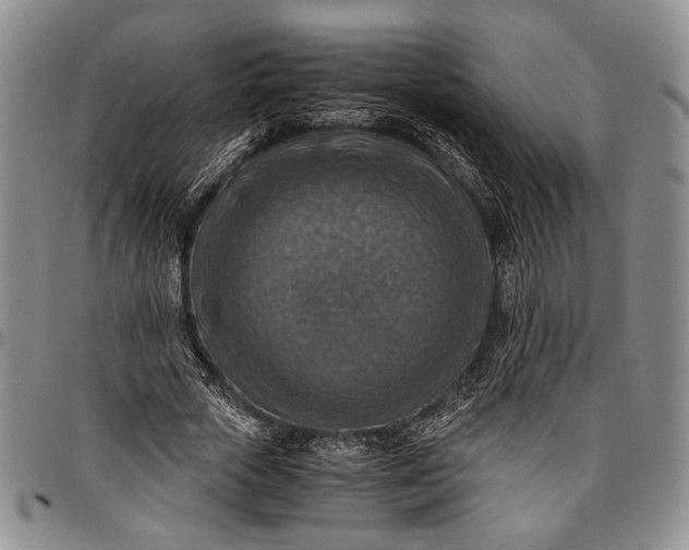 X0000096640729200802191219