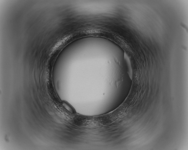 X0000096640732200802191219