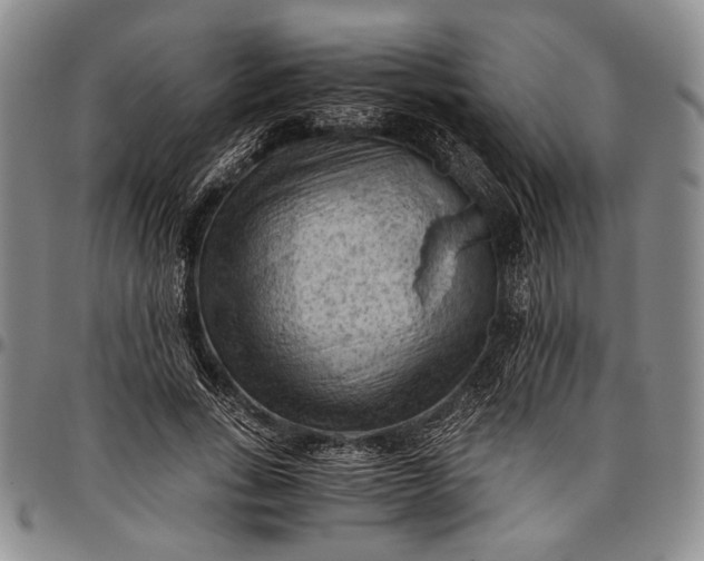 X0000096640735200802191219