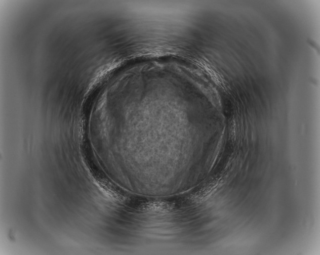 X0000096640736200802191219