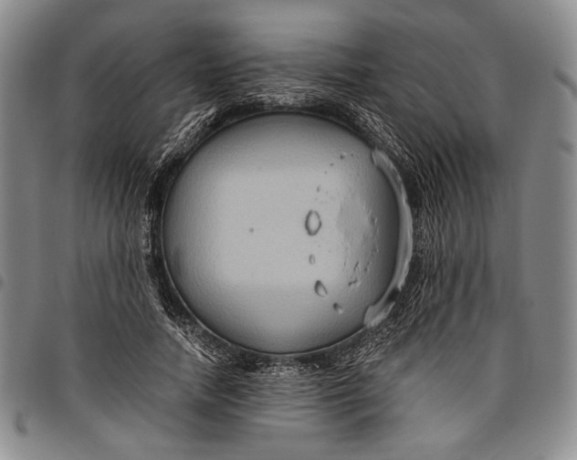 X0000096640738200802191219