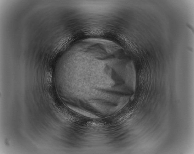 X0000096640739200802191219