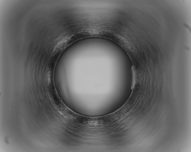 X0000096640740200802191219