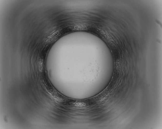 X0000096640741200802191219