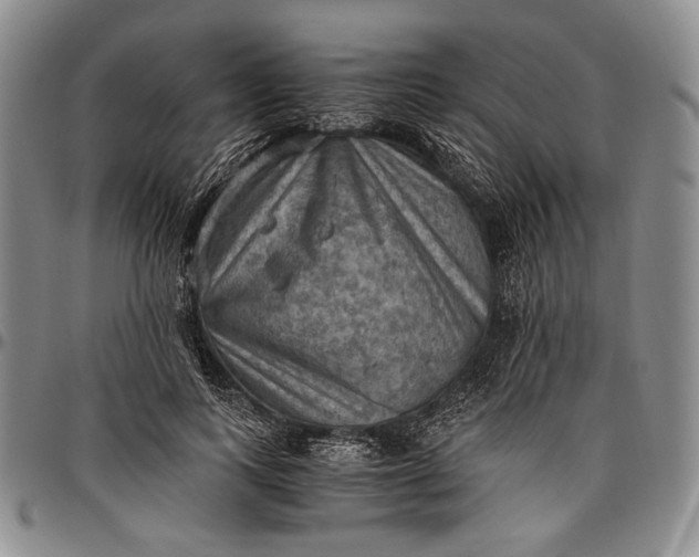 X0000096640743200802191219