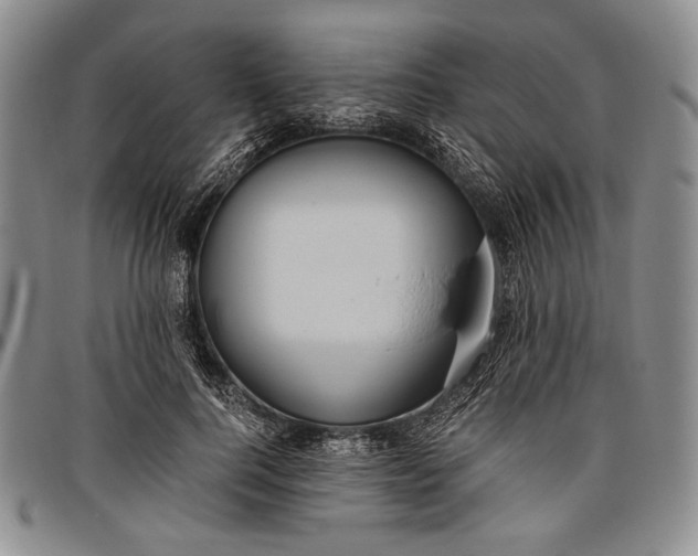 X0000096640744200802191219