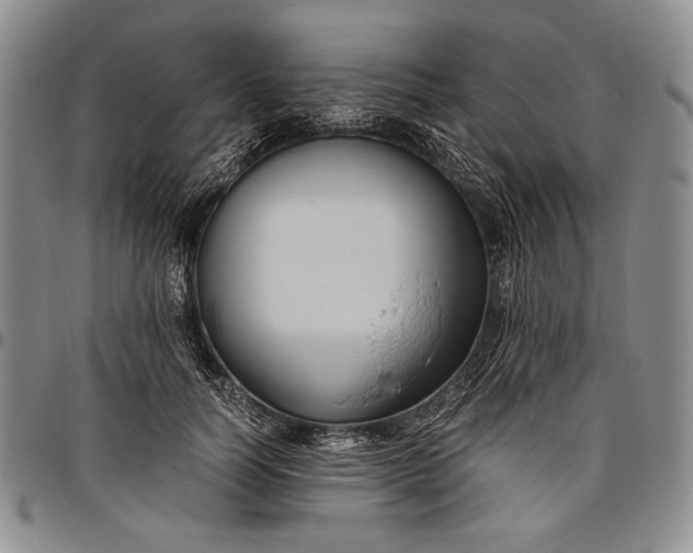 X0000096640746200802191219