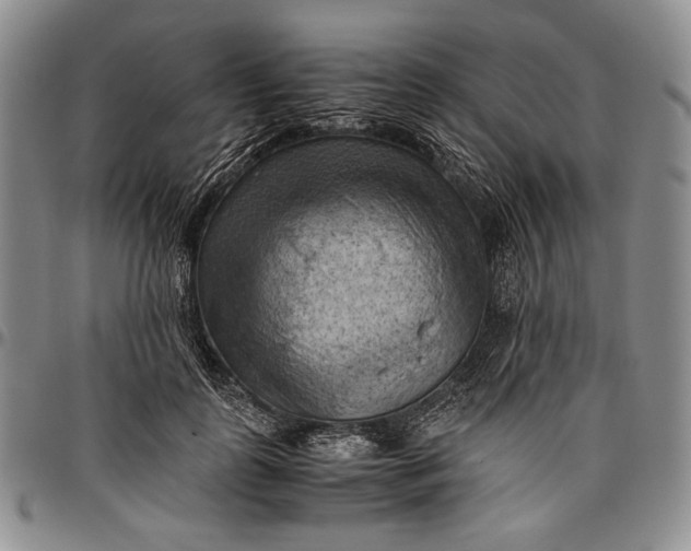 X0000096640747200802191219