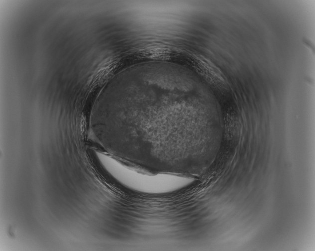 X0000096640748200802191219