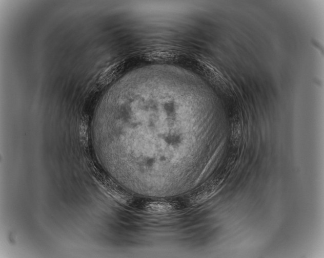 X0000096640749200802191219