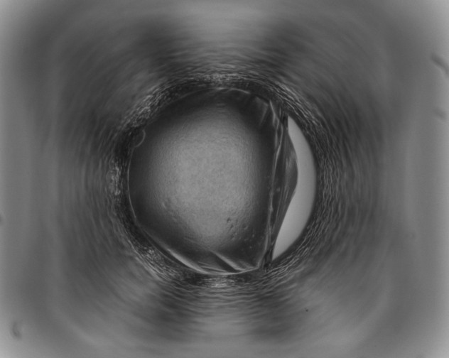 X0000096640750200802191219