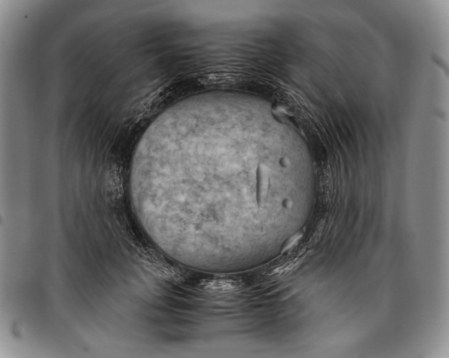 X0000096640751200802191219