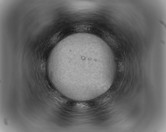 X0000096640753200802191219