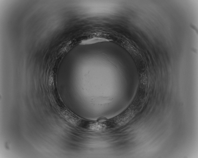 X0000096640754200802191219