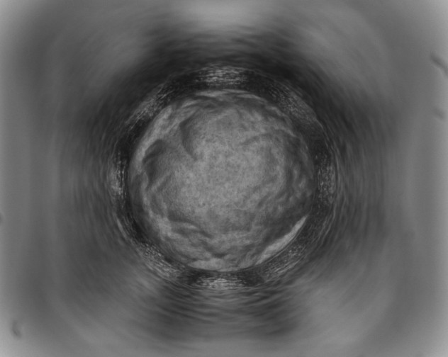 X0000096640755200802191219