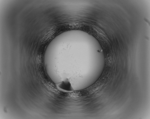 X0000096640756200802191219