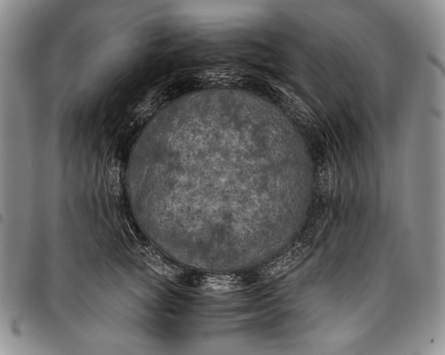 X0000096640757200802191219