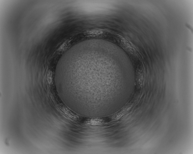 X0000096640758200802191219