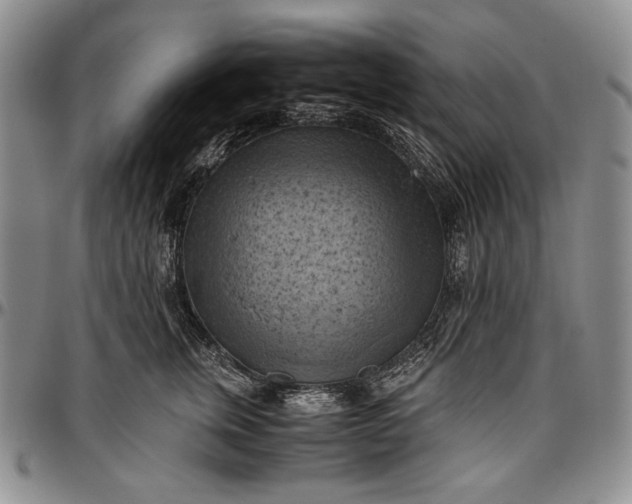 X0000096640759200802191219