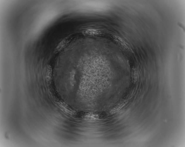 X0000096640760200802191219