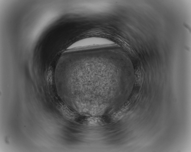 X0000096640762200802191219