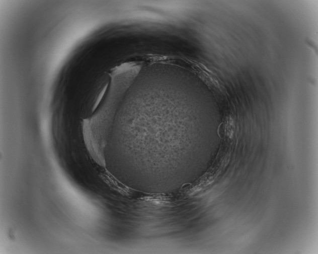 X0000096640763200802191219