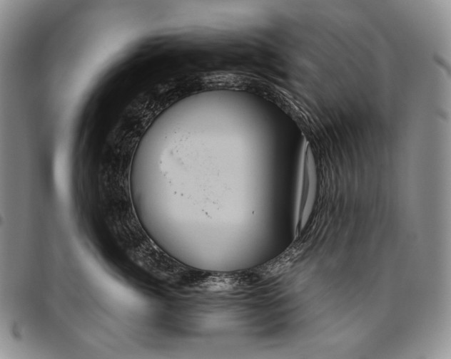 X0000096640764200802191219