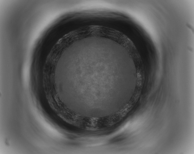 X0000096640765200802191219