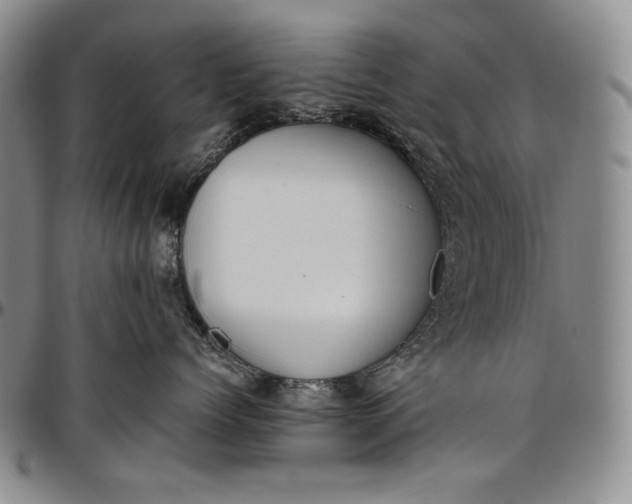 X0000096640768200802191219