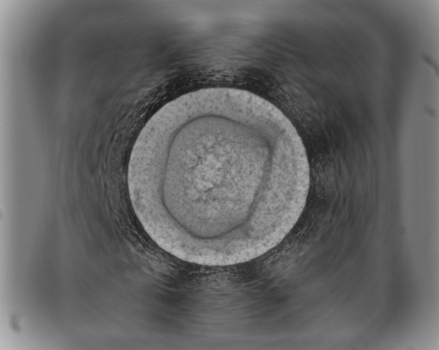 X0000096640769200802191219