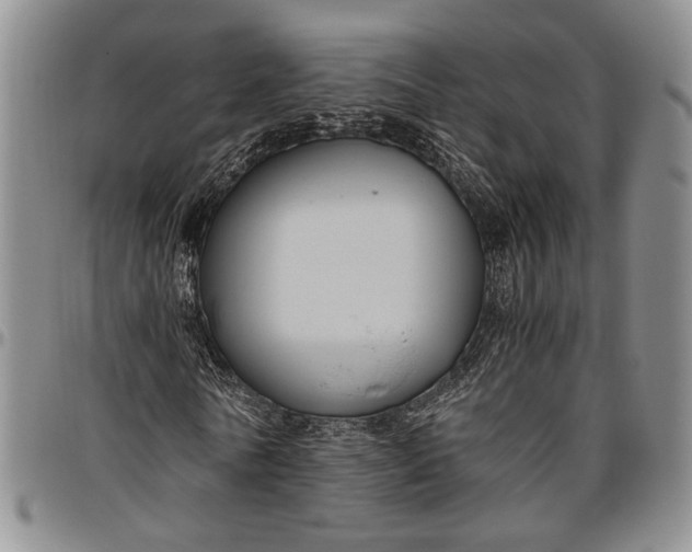 X0000096640770200802191219