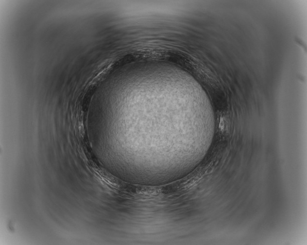 X0000096640771200802191219