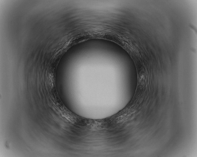 X0000096640772200802191218