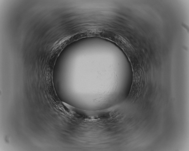 X0000096640773200802191218