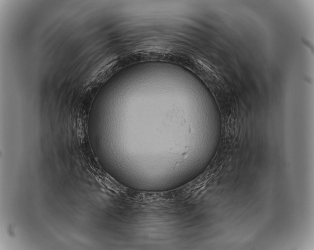 X0000096640774200802191218