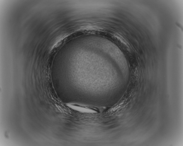 X0000096640775200802191218