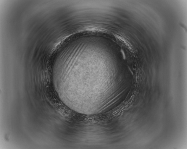 X0000096640776200802191218