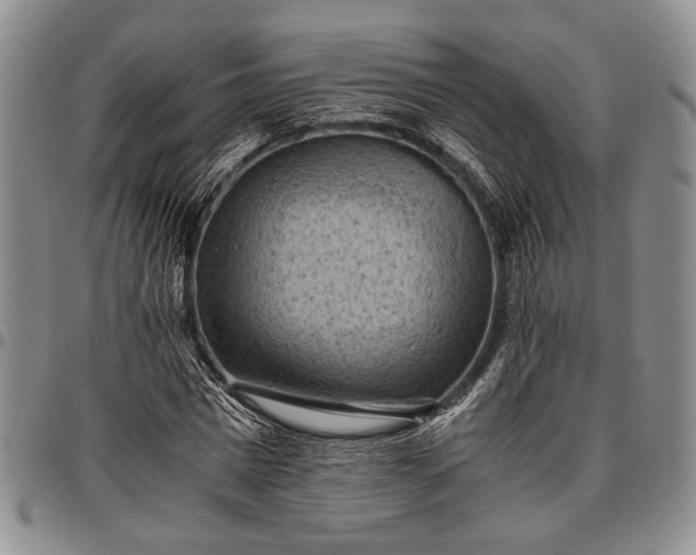 X0000096640777200802191218